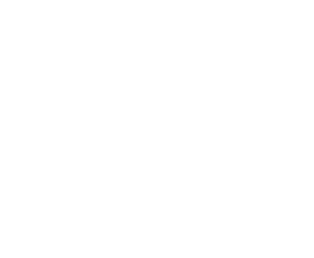 String Bat Studio